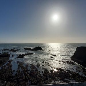 Meet your Posher, Jenny